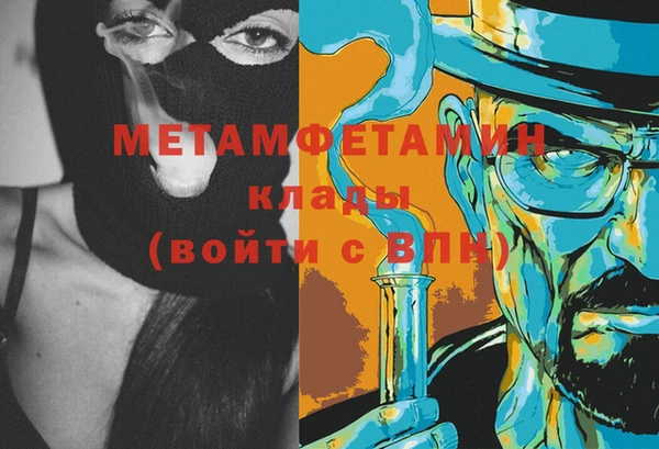 дживик Ельня