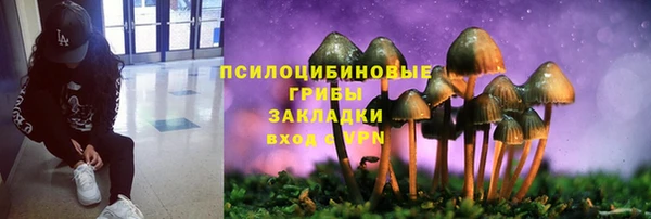 амфетамин Белокуриха
