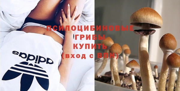 амфетамин Белокуриха