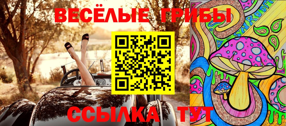 Галлюциногенные грибы мухоморы Гудермес