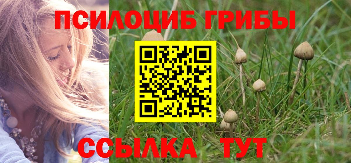 Галлюциногенные грибы MAGIC MUSHROOMS  Псилоцибиновые грибы Psilocybine cubensis  Вход с VPN  Гудермес 